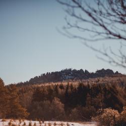 Номер люкс с балконом