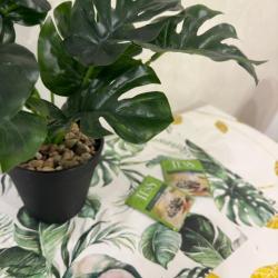 2-комнатные апартаменты стандарт