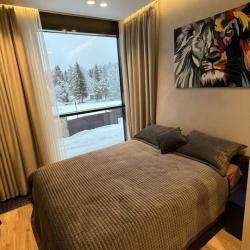 2-комнатные апартаменты люкс