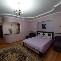 1-комнатные апартаменты студия с 1 двуспальной кроватью Фиолетовый