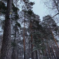 Фото Отель Загородный клуб Лесная сказка