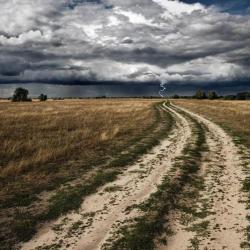 Фото Отель НиКиТа