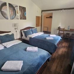 Фото Отель Шишкино-парк аэропорт Домодедово