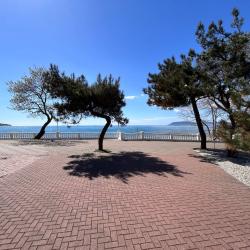 Фото Отель Черноморская здравница