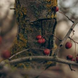 Фото Апартаменты на улице Садовая 5