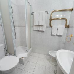 Номер стандарт с 1 двуспальной кроватью