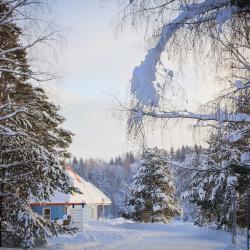 Фото Отель Демино