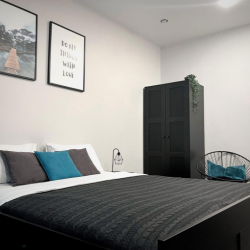 2-комнатные апартаменты улучшенные с 1 двуспальной кроватью