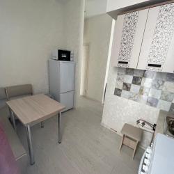 Фото Апартаменты Pluton Aparts в СНТ Агро