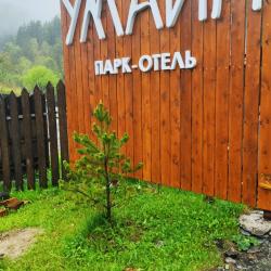 Фото Отель Умайя