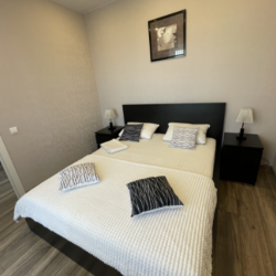 2-комнатные апартаменты стандарт Депутатская 55