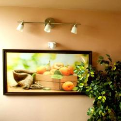 Фото Отель Абрикос