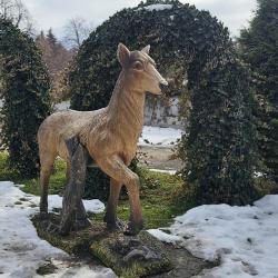 Фото Отель Смена