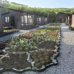 Фото Отель Вилла де Марина