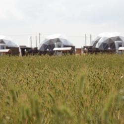 Фото Отель Pera (Пера)