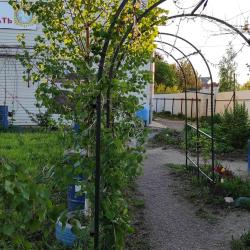 Комната эконом с 5 односпальными кроватями