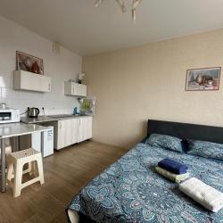 Фото Апартаменты на улице Гвардейская