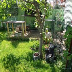 Фото Отель Moreson (Моресон) Парадайз