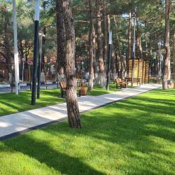 Фото Отель Sanremo (Санремо)