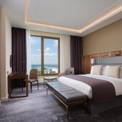 Lotte Hotel Samara  (Лотте Самара) — 426fce2231e345127c6183dd17cd0e0f