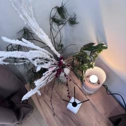 Фото Отель Lucky Room (Лаки Рум) на шоссе Открытое 14Д