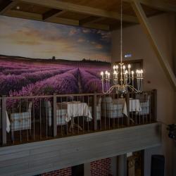 Фото Парк-отель Прованс