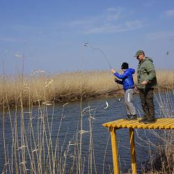 Фото Отель Остров Колочный