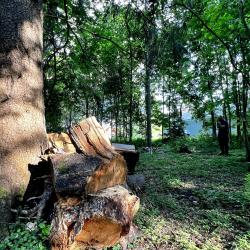 Фото Отель Загородный таунхаус