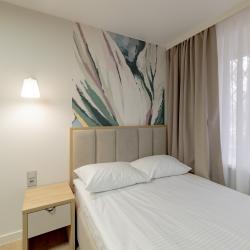 Номер стандарт с 1 двуспальной кроватью  Антоновка