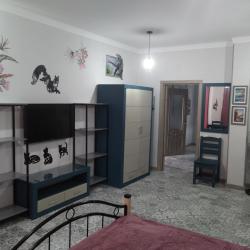 Фото Отель Дома в лесу