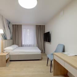 Номер стандарт с 1 двуспальной кроватью  Антоновка