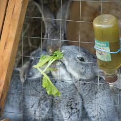 Фото Отель Загородный комплекс Аракуль