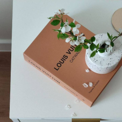 1-комнатные апартаменты люкс