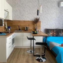 1-комнатные апартаменты студия №1