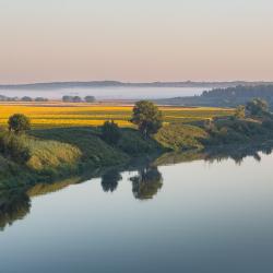 Фото Отель Усадьба Скорняково-Архангельское