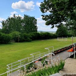 Фото Отель Вятичи Eco Resort & Medical Spa