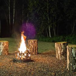 Фото Отель Уютный дом на Сосновой 227