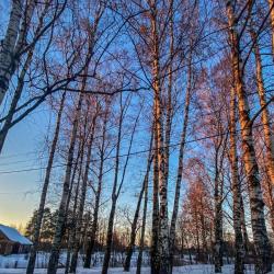 Фото Отель Гостевой дом Брейтово