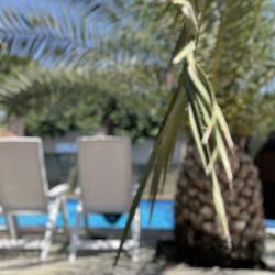 Фото Отель Гостевой Дом Корона