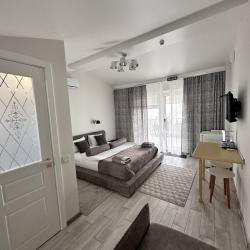 2-местный номер стандарт Серебро