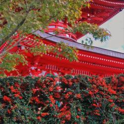 Фото Отель СУТКИ В КРД на улице им. Героя Сарабеева В.И. 5 к3