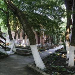 Фото Отель Дивное База отдыха