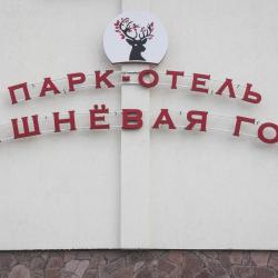 Фото Отель Вишневая гора