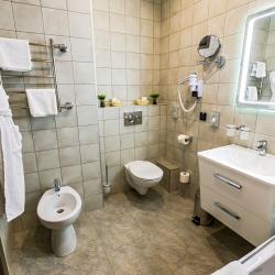 Номер студия премиум с 1 двуспальной кроватью