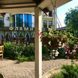 Фото Отель Фламинго