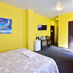 Апартаменты стандарт с 1 двуспальной кроватью