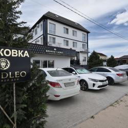 Фото Отель Goldleo (Голдлео)