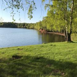 Фото Отель Дельфин