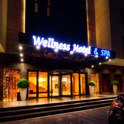 Фото Отель Wellness Hotel and Spa (Велнесс)