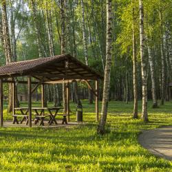 Фото Отель Fish Point Family Resort (Фиш Поинт)